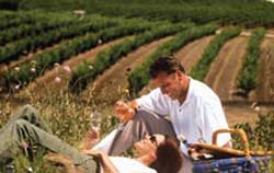 Barossa wine